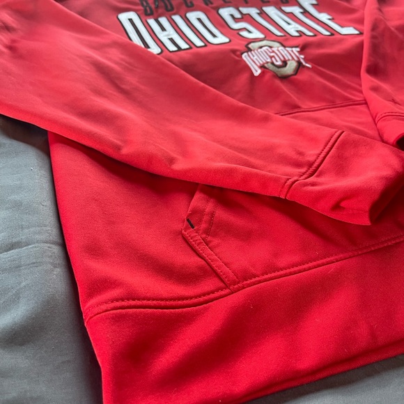 #199 OHIO STATE BUCKEYES HOODIE - Picture 6 of 13
